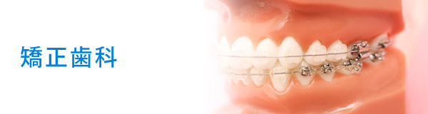 矯正歯科